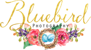 Bluebird Photography Fort Wayne