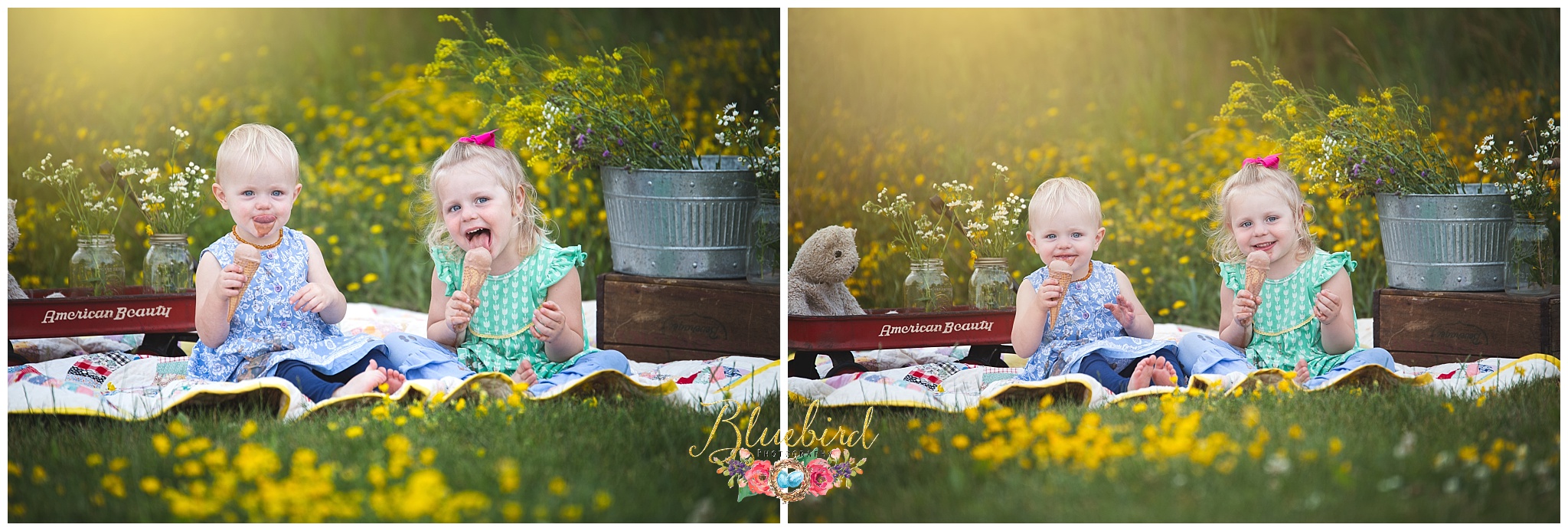 Summer Themed Mini Sessions in Fort Wayne