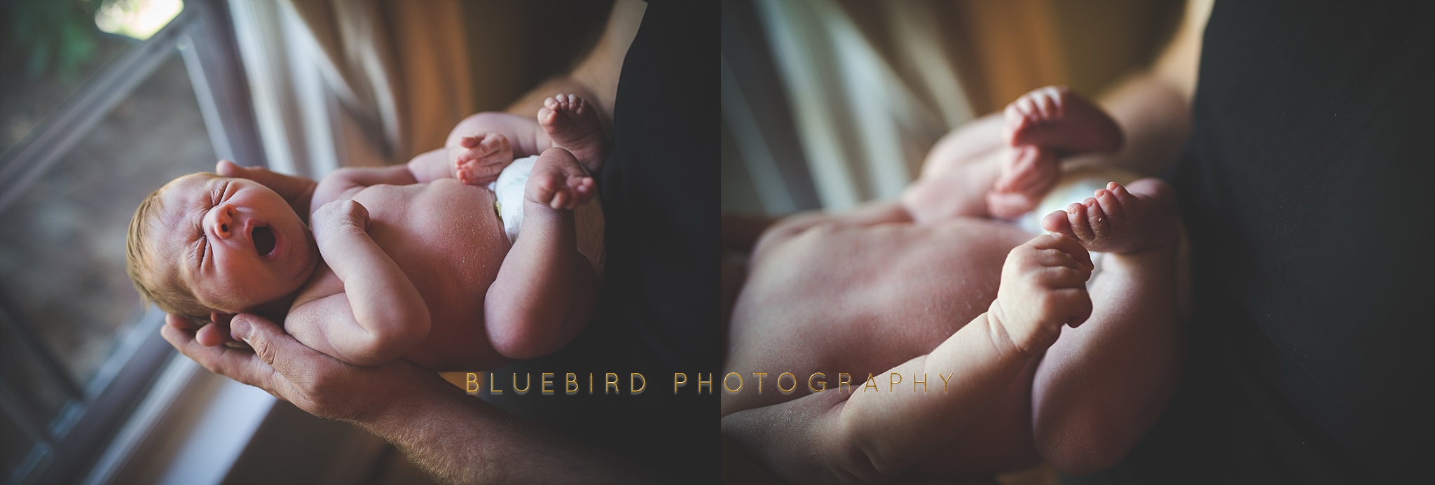 Lifestyle Newborn Photographer session gallery